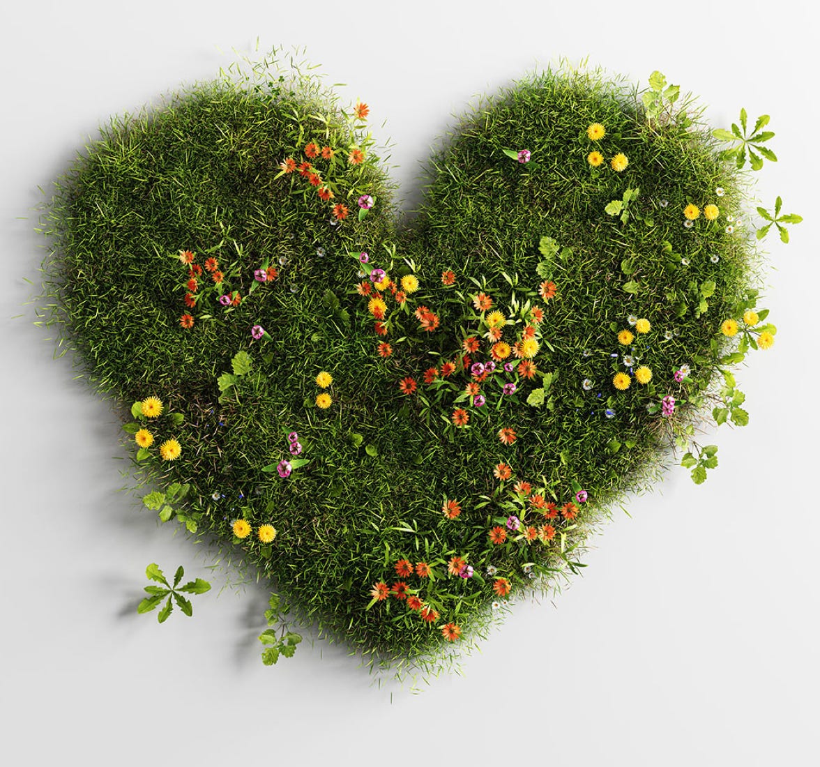 Grass Heart with flowers